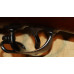 Fine Springfield Model 1888 .45-70 Trapdoor Rifle c. 1888
